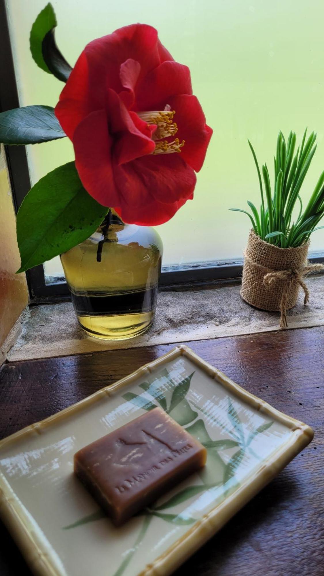 Manoir Des Pelies Spa Conques Ngoại thất bức ảnh